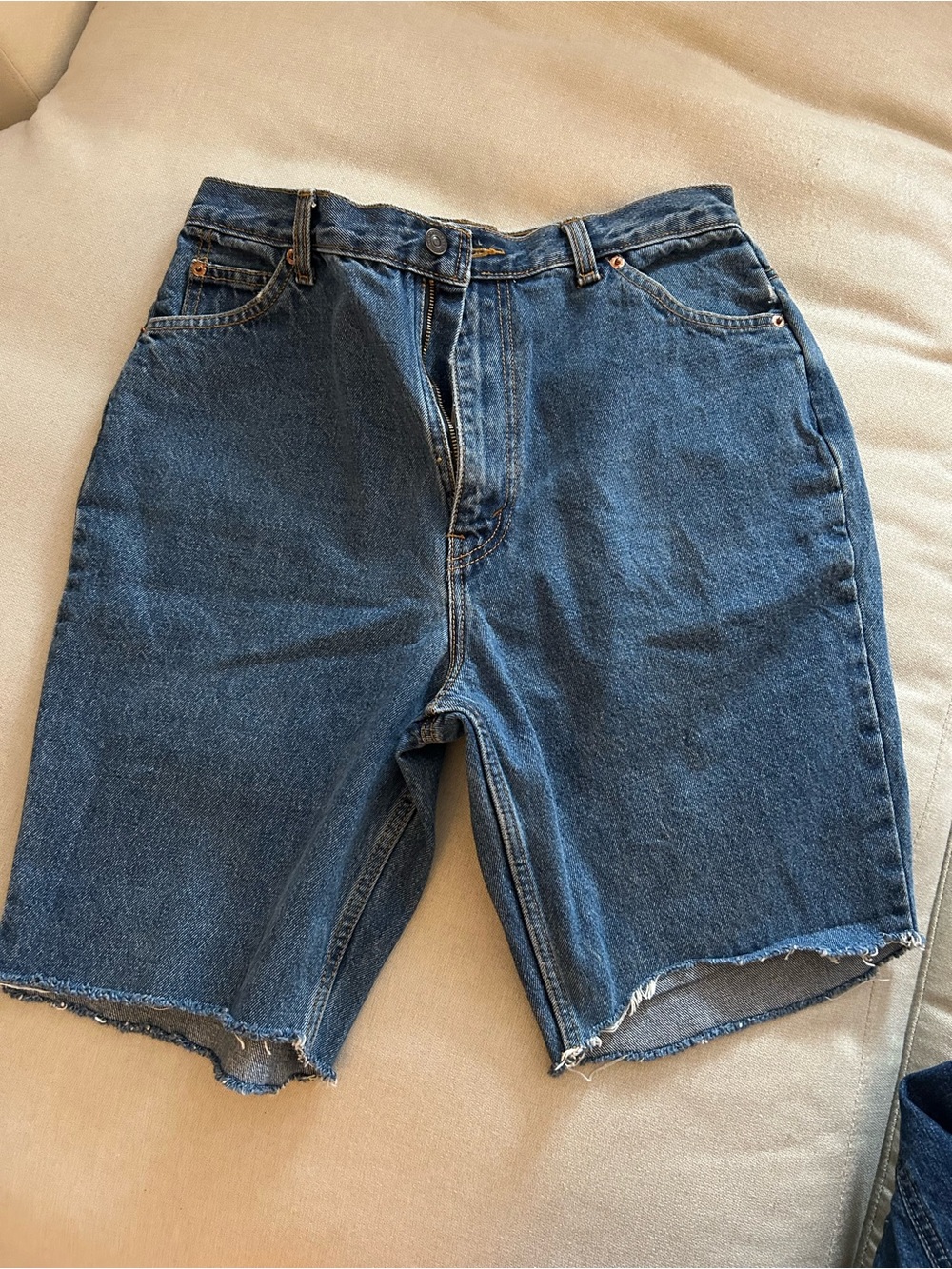 Classic Blue Denim Cutoff Shorts